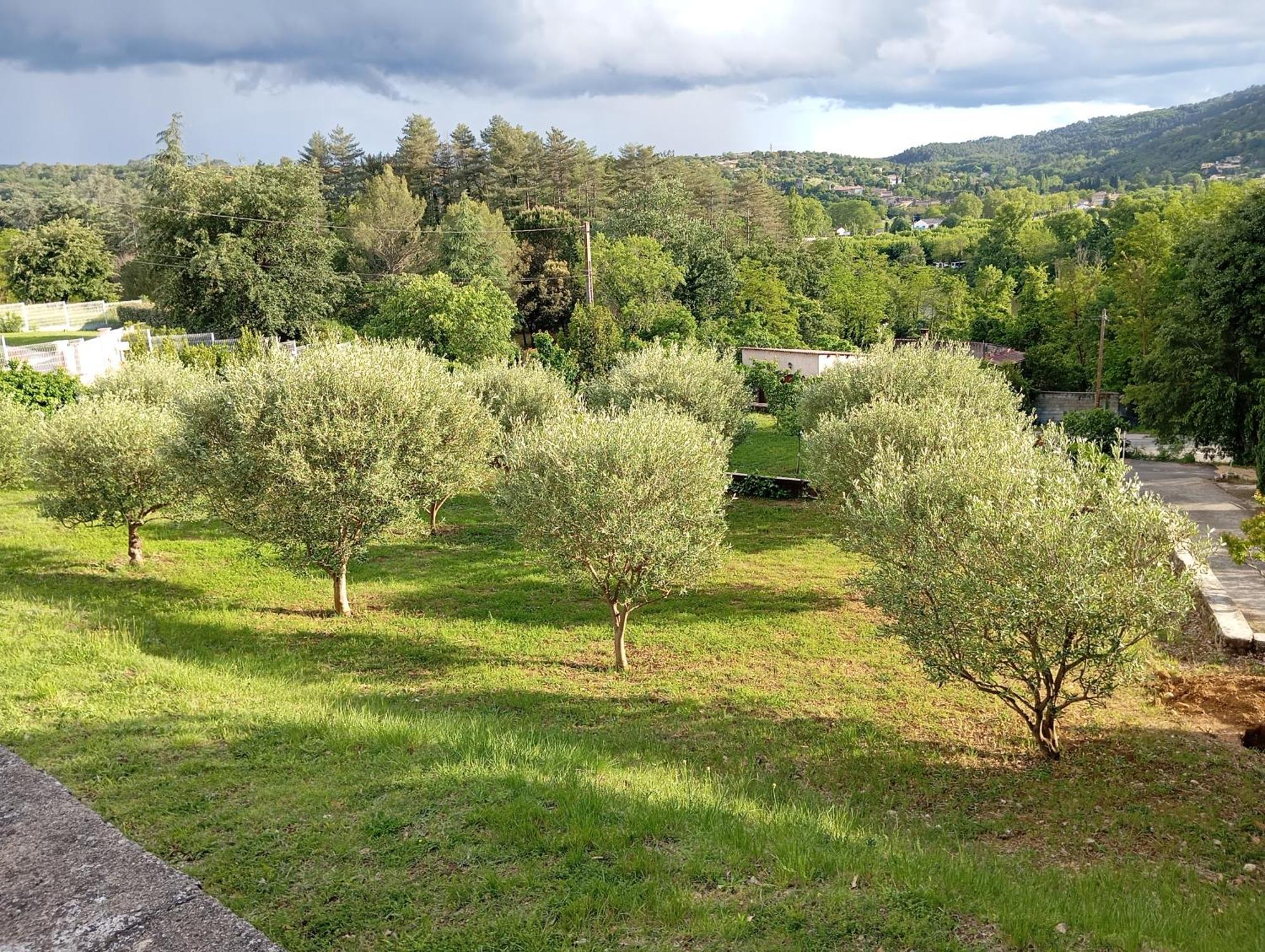 Le Moulin Villa Vallon-Pont-dʼArc Eksteriør billede