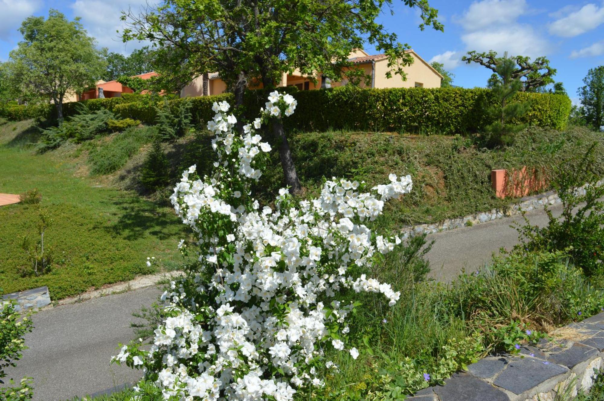 Le Moulin Villa Vallon-Pont-dʼArc Eksteriør billede