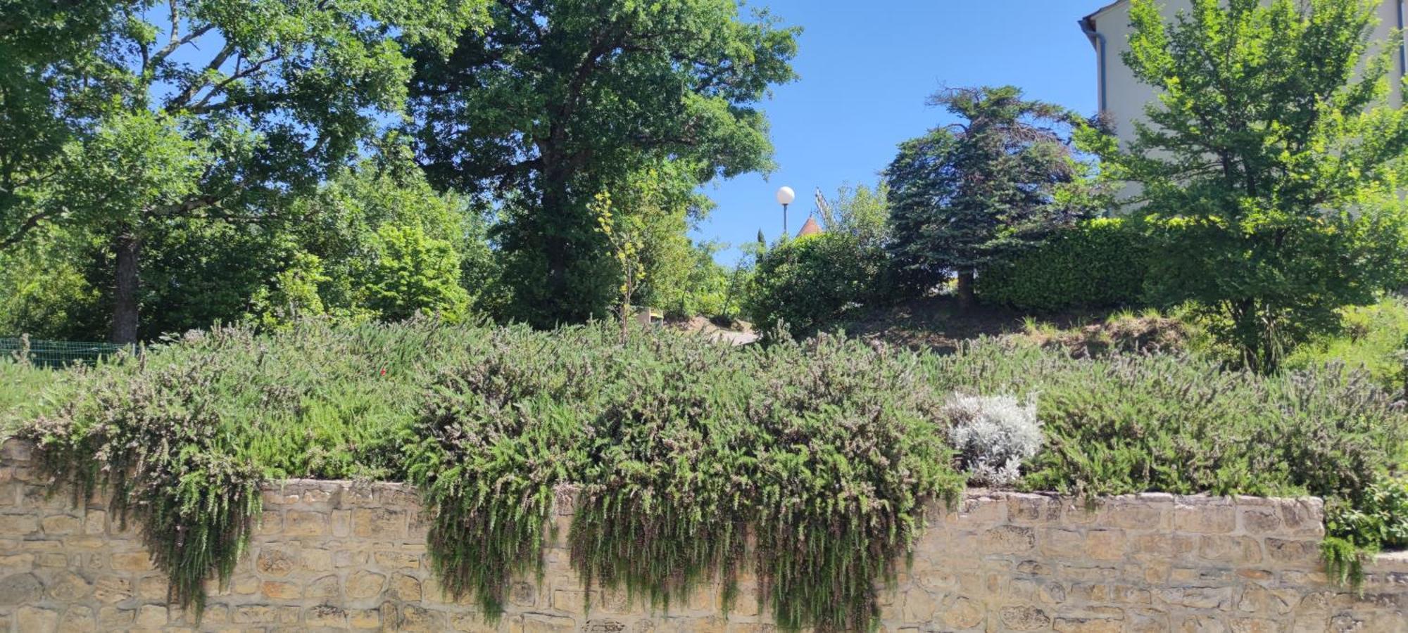 Le Moulin Villa Vallon-Pont-dʼArc Eksteriør billede
